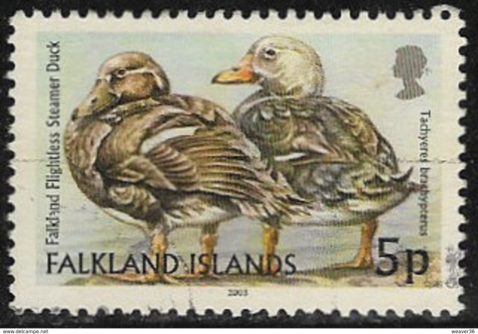 Falkland Islands SG956 2003 Birds 5p Good/fine Used [12/12824/4D] - Falkland Islands