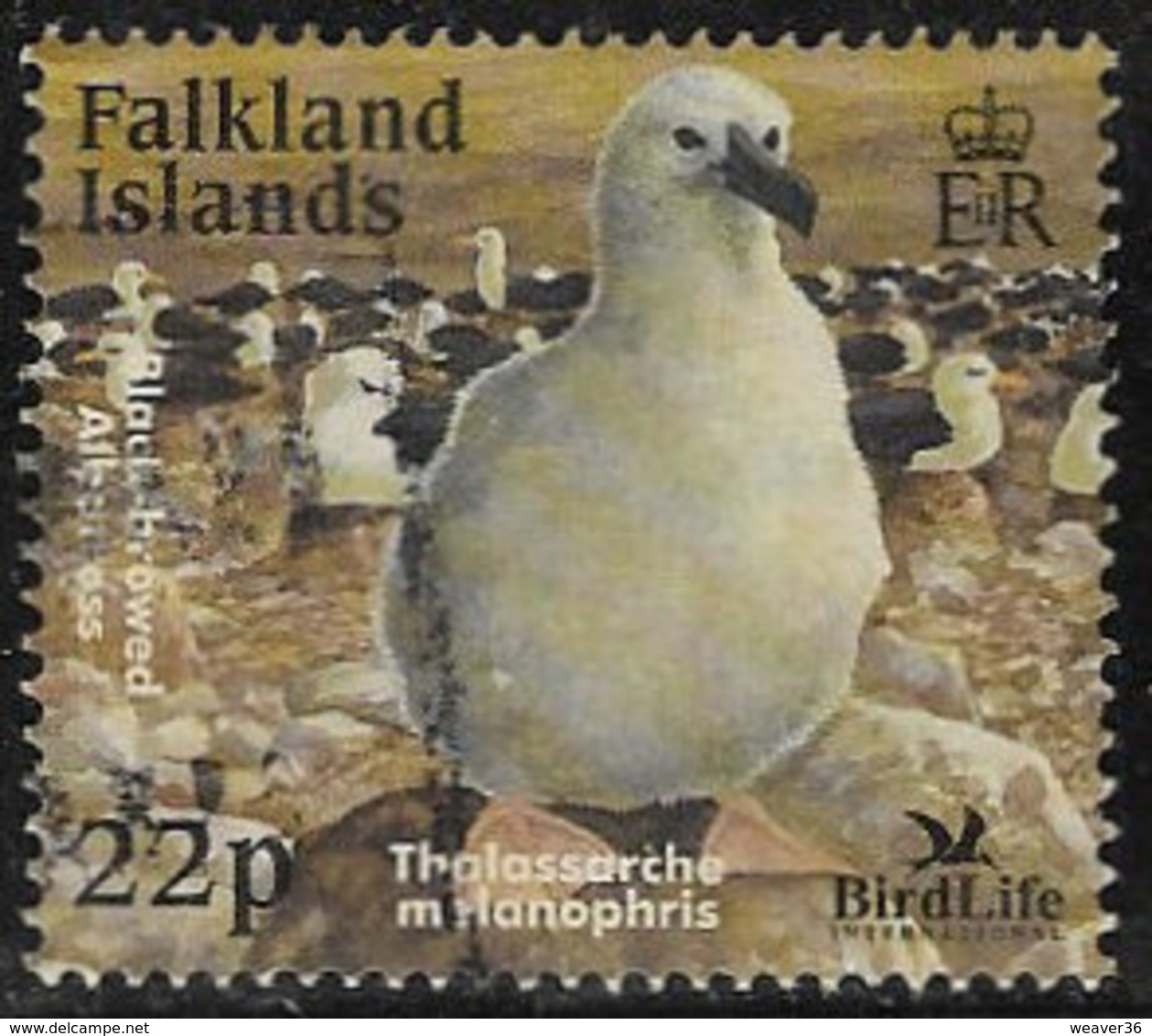 Falkland Islands SG968 2003 Bird Life International 22p Good/fine Used [40/32642/4D] - Falkland Islands