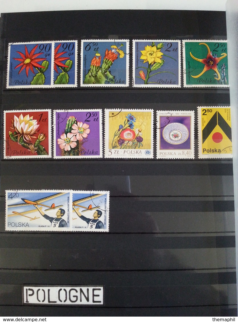 lot n° 720  POLOGNE  un bon classeur  neufs ou obl.