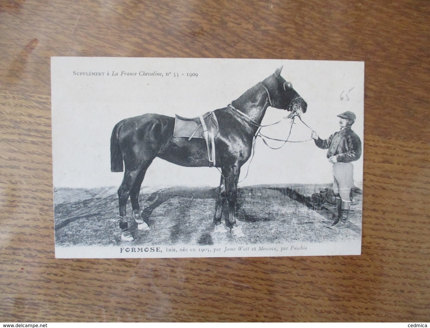 FORMOSE,BAIE,NEE EN 1905,PAR JAMES WATT ET MOSCOVA,PAR FUSCHIA-SUPPLEMENT A LA FRANCE CHEVALINE N°55-1909 - Pferde