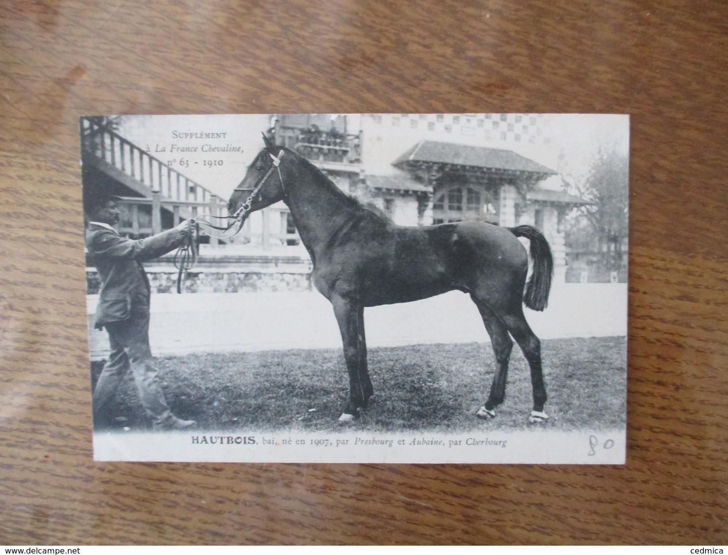 HAUTBOIS,BAI,NE EN 1907,PAR PRESBOURG ET AUBAINE,PAR CHERBOURG -SUPPLEMENT A LA FRANCE CHEVALINE N°63-1910 - Pferde