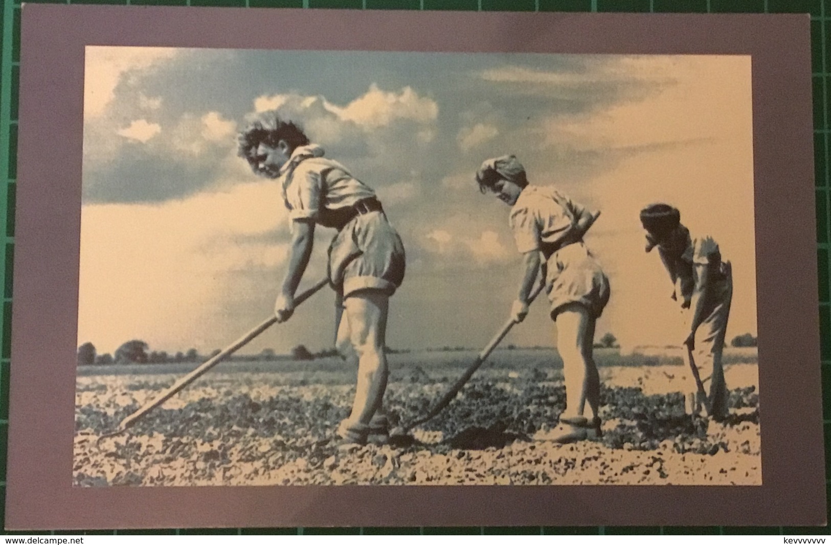 Land Army Girls Hoeing, The Nostalgia Postcard Collector’s Club, Yesterday’s Britain 1890’s - 1950’s - War 1939-45