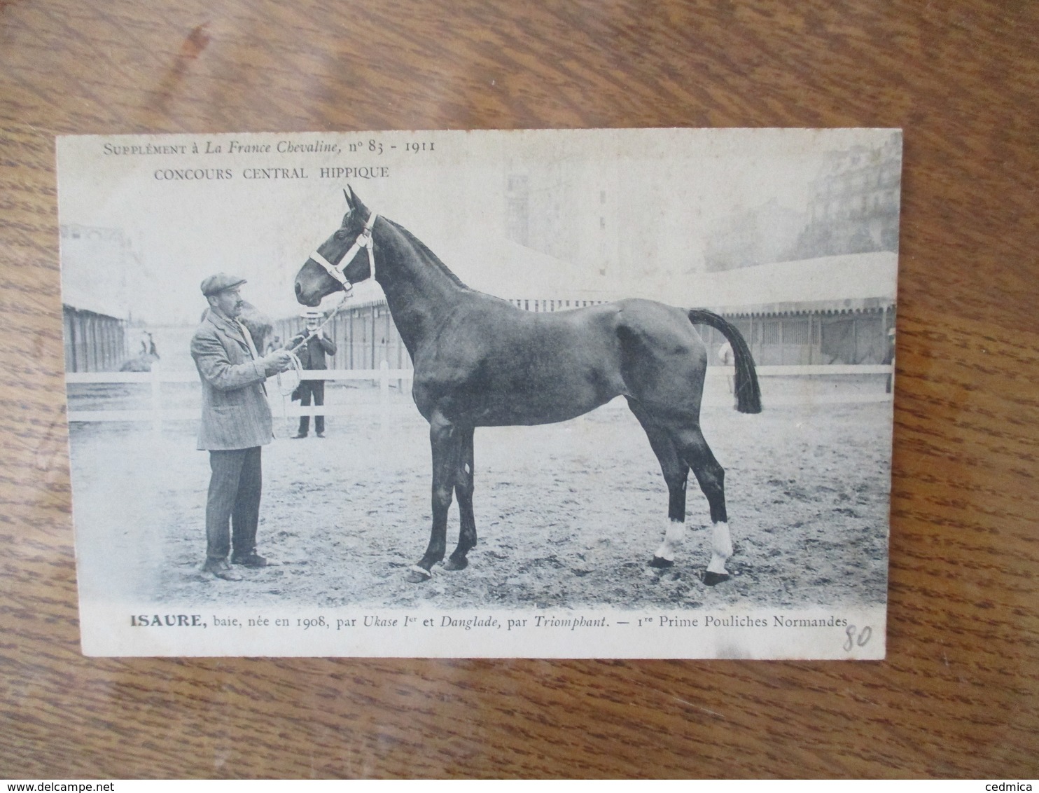 ISAURE,BAIE,NEE EN 1908,PAR UKASE 1et ET DANGLADE,PAR TRIOMPHANT 1rePRIME-SUPPLEMENT A LA FRANCE CHEVALINE N°83-1911 - Pferde