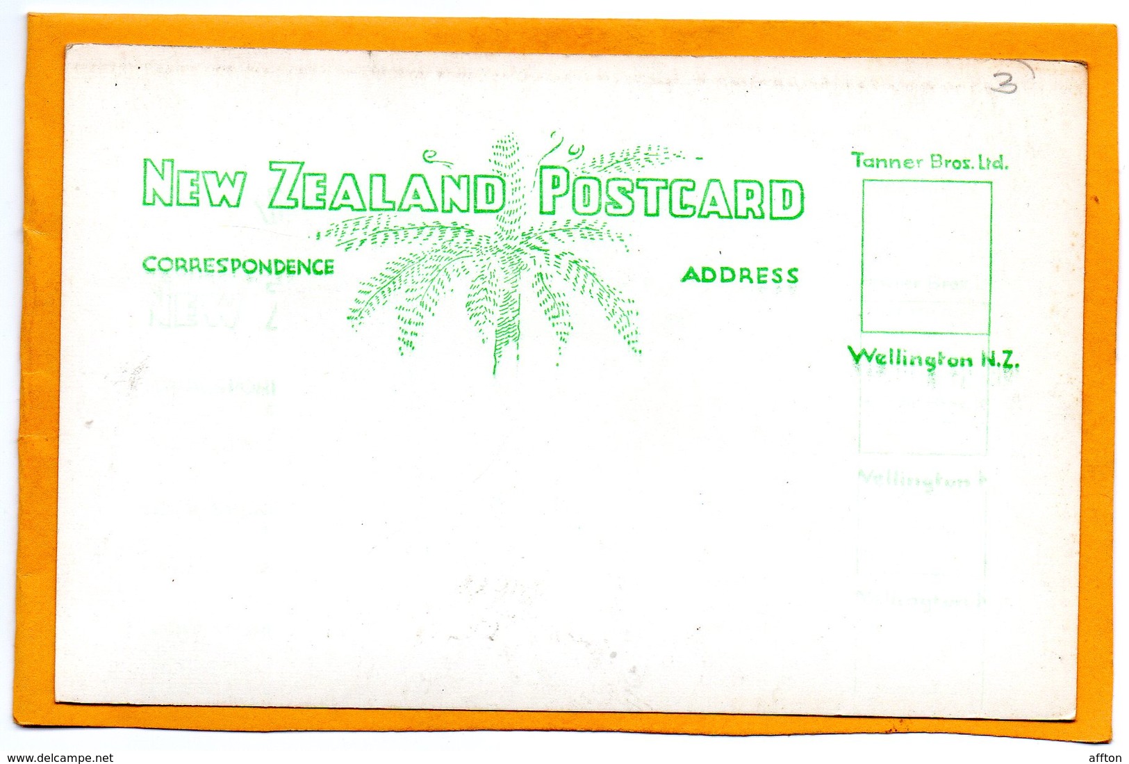 Wellington New Zealand Old Real Photo Postcard - New Zealand
