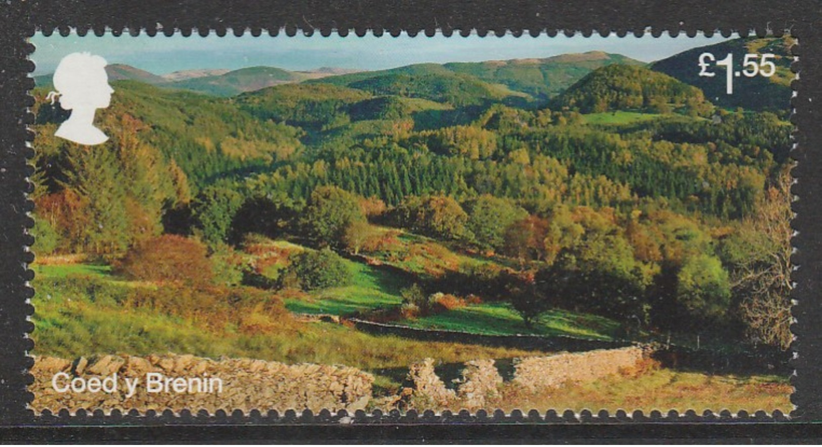 GB 2019 Forests £1.55 Multicoloured ** MNH Latest Issue Not Yet Catalgued - Unused Stamps