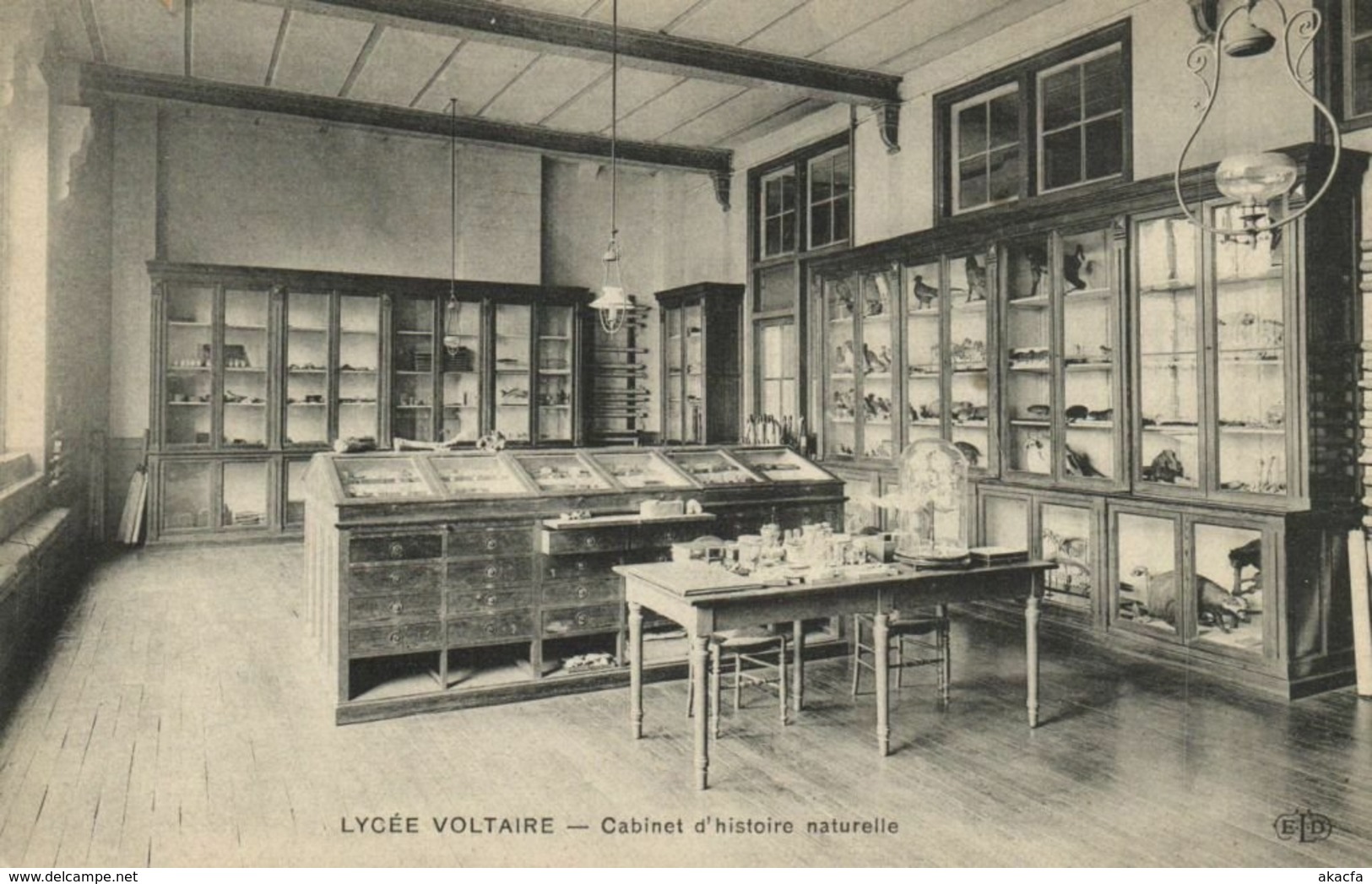 CPA Paris 11e - Lycée Voltaire - Cabinet D'histoire Naturelle (113468) - District 11