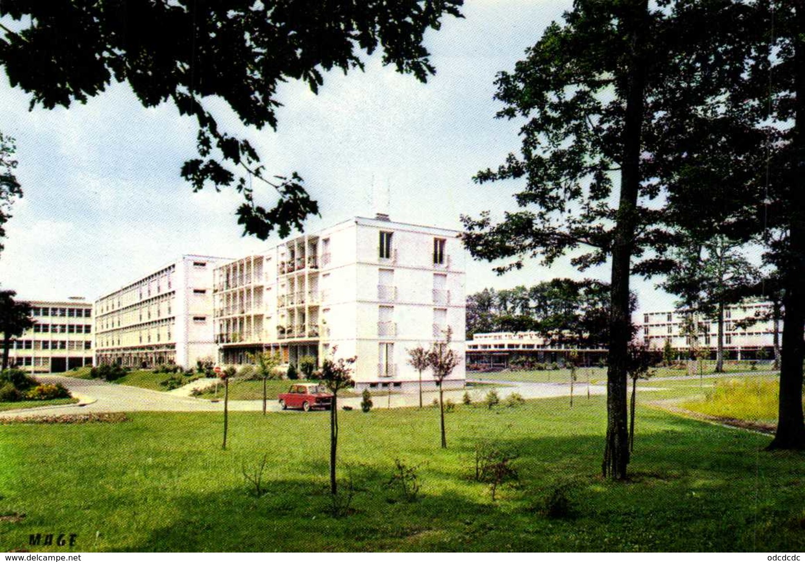 CPSM Grand Format MONTARGIS (Loiret) Lycée En Foret Mrs  Charles Nicod Lucien Lecuyer Arch Colorisée  RV  Edit Magne - Montargis