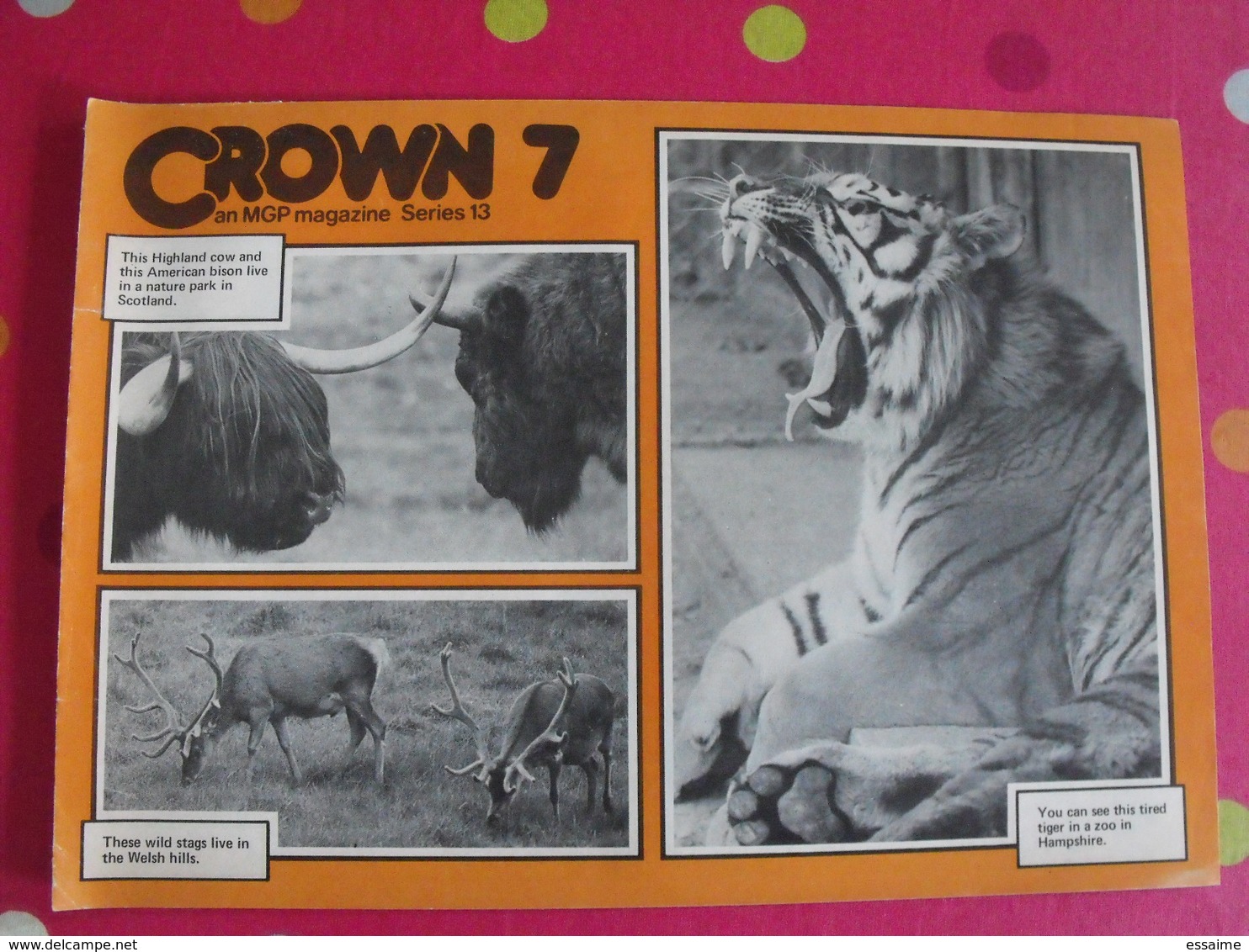 Lot De 8 Revues En Anglais. Crown . 1979 - Lingua Inglese/ Grammatica
