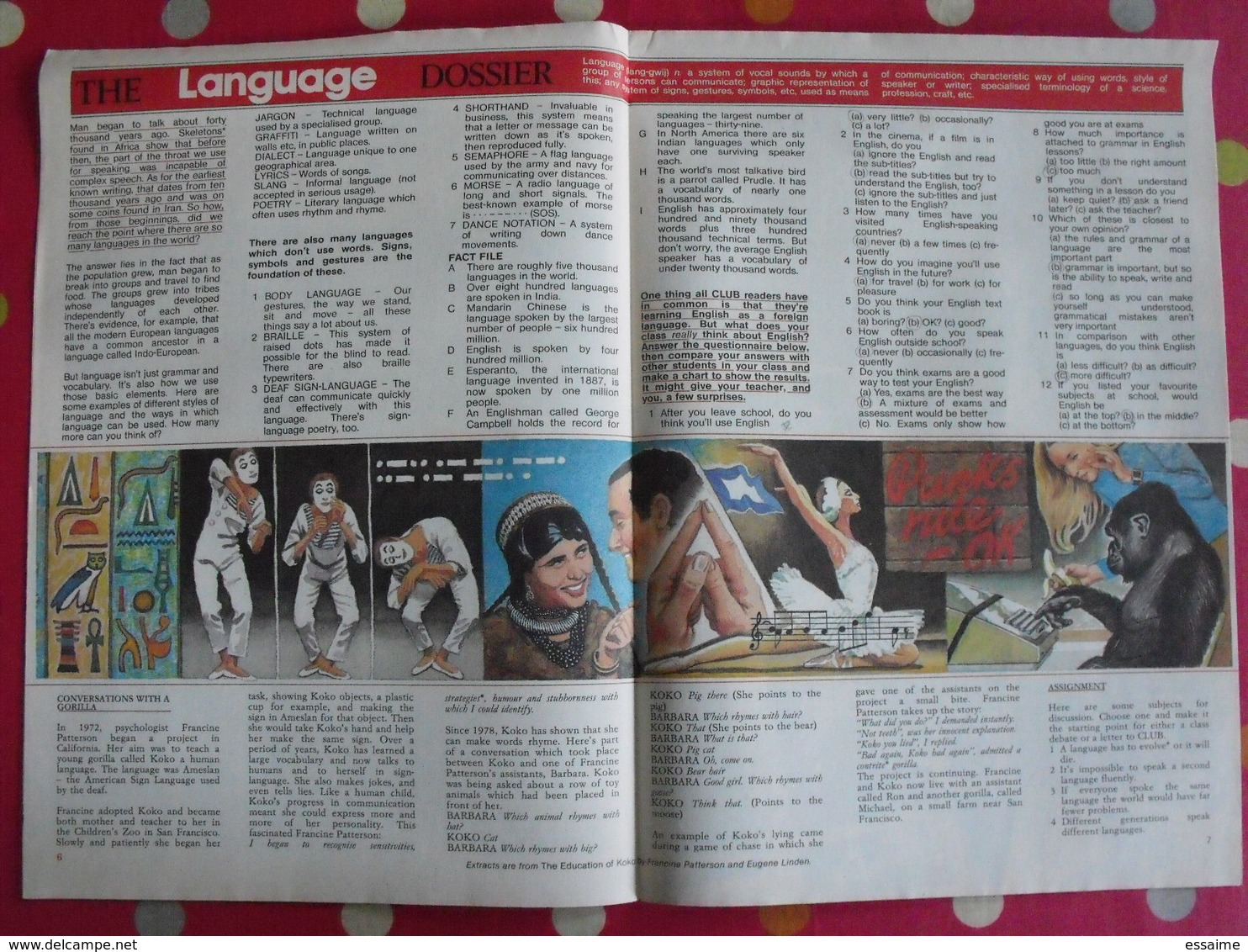 Lot De 4 Revues En Anglais. Club, Catch. Bandes Dessinées, Jeux. 1983 - English Language/ Grammar