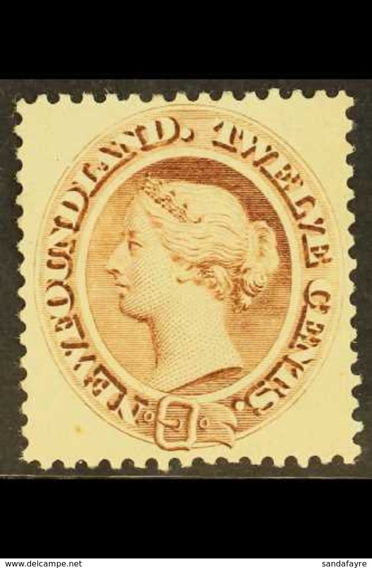 1894 12c Deep Brown, SG 61, Very Fine Mint. For More Images, Please Visit Http://www.sandafayre.com/itemdetails.aspx?s=6 - Autres & Non Classés