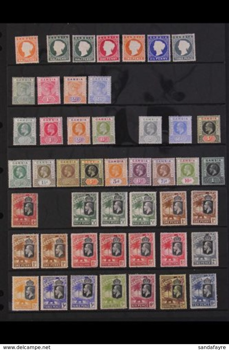 1880-1949 MINT COLLECTION Presented On A Pair Of Stock Pages That Includes A Small QV Range To 3d, KEVII To 6d, KGV Defi - Gambia (...-1964)