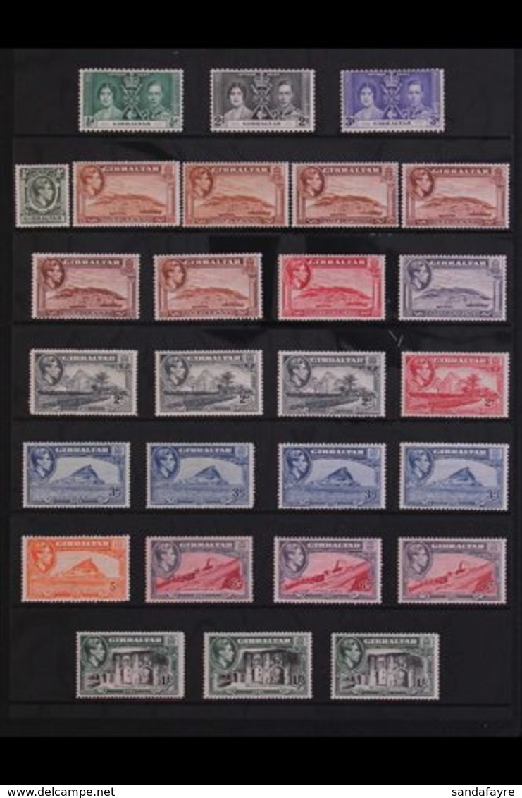 1937-51 EXTENSIVE MINT COLLECTION A Delightful COMPLETE "BASIC" COLLECTION (SG 118/143) With Most Additional Listed Perf - Gibilterra