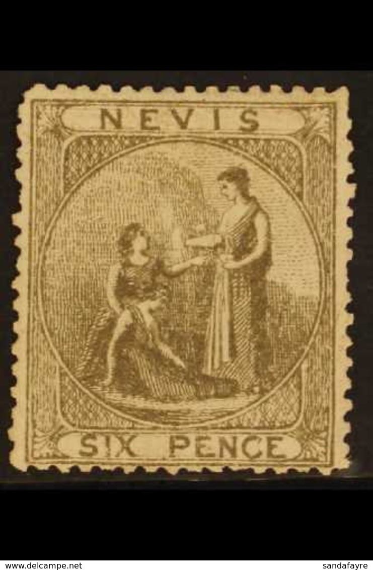 1878 6d Grey, SG 19, Fresh Unused Without Gum. For More Images, Please Visit Http://www.sandafayre.com/itemdetails.aspx? - St.Christopher-Nevis-Anguilla (...-1980)