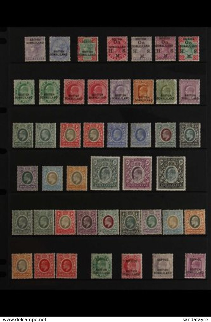 1903-1935 OLD TIME MINT COLLECTION Presented On Stock Pages That Includes A Small QV Range To Different 1r, KEVII Opt'd  - Somaliland (Protectorat ...-1959)