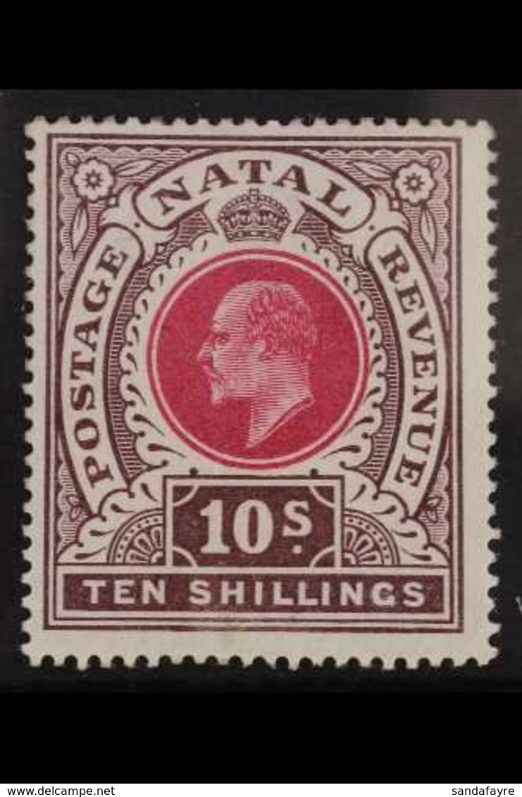 NATAL 10s Deep Rose And Chocolate, Ed VII, SG 141, Very Fine Mint. For More Images, Please Visit Http://www.sandafayre.c - Non Classés