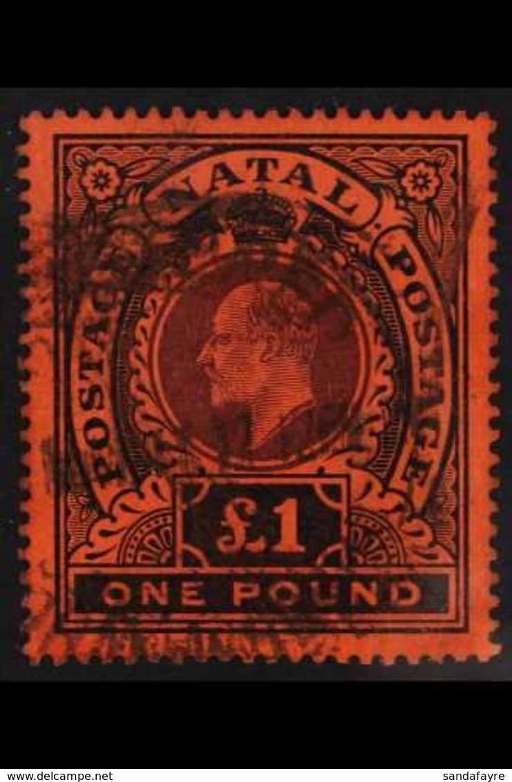NATAL 1908-09 KEVII £1 Purple And Black / Red, SG 171, Fine Used With Unusual Rubber Registered Oval Pmk. For More Image - Non Classés