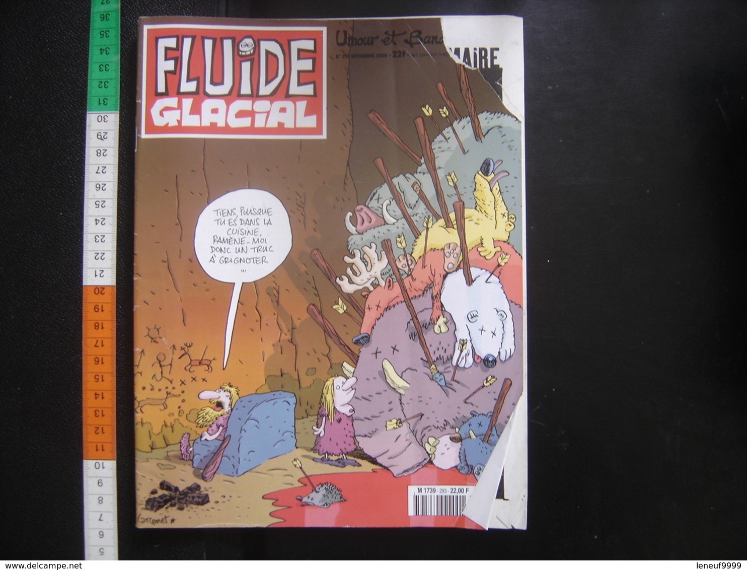 2000 Bande Dessinée FLUIDE GLACIAL N° 293 Dessins Humour - Fluide Glacial