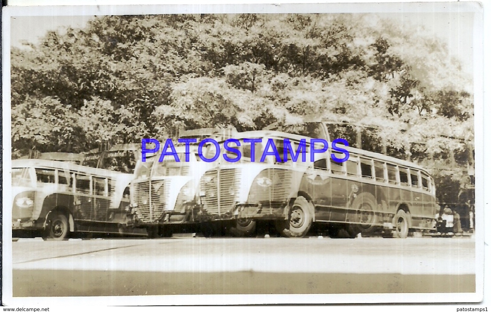 117769 AUTOMOBILE AUTOBUS BUS VERY COLECTIVO PHOTO NO POSTAL POSTCARD - Busse & Reisebusse