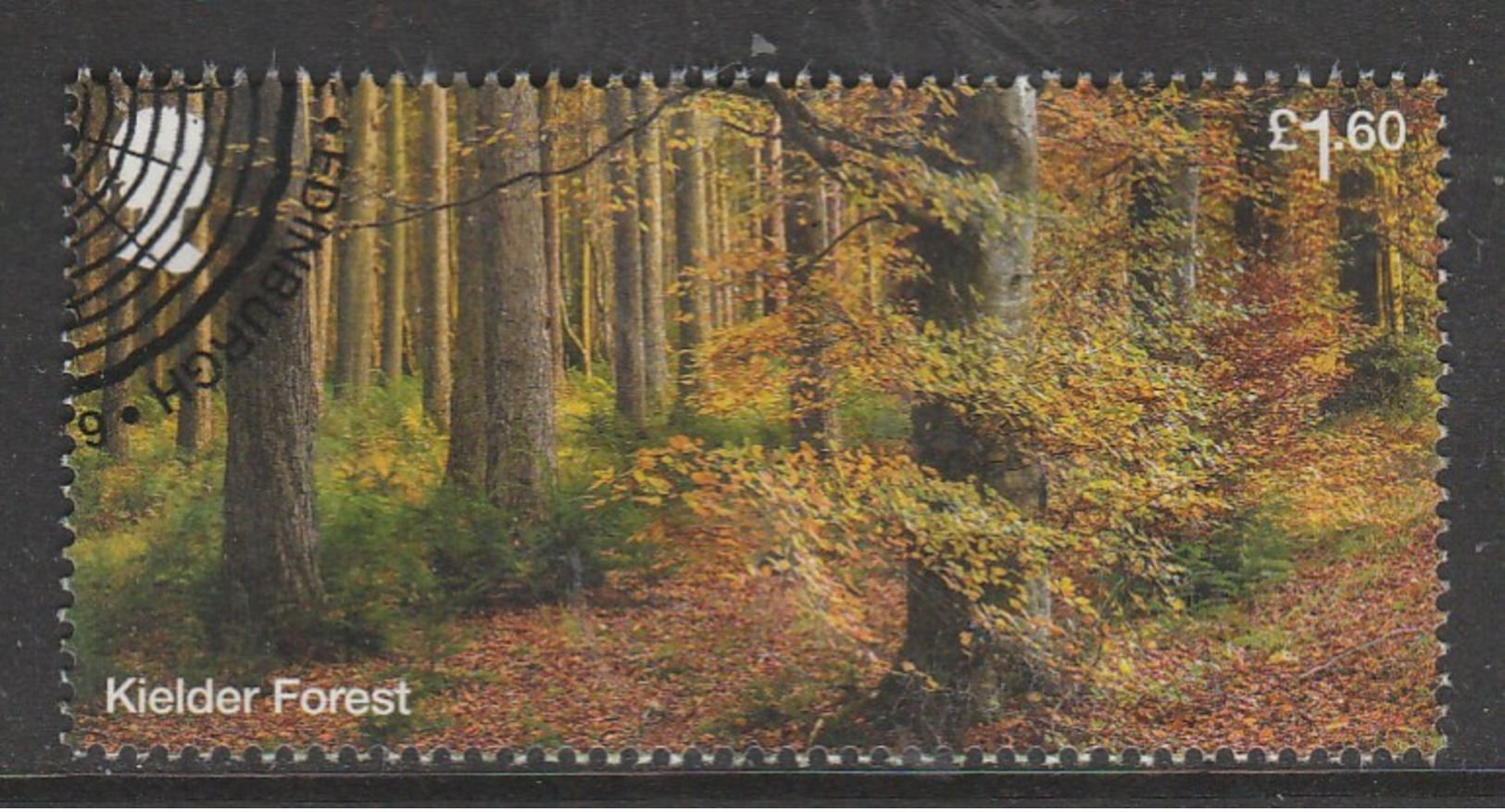 GB 2019 Forests £1.60 Multicoloured SG 4252 O Used - Used Stamps