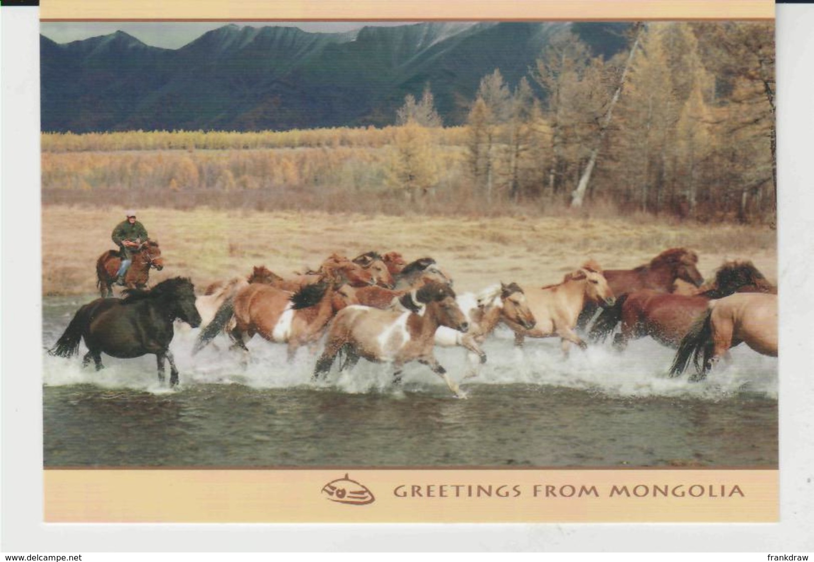 Postcard - Mongolia - Country Of Horses, More Horses Than People - Unused Very Good - Unclassified