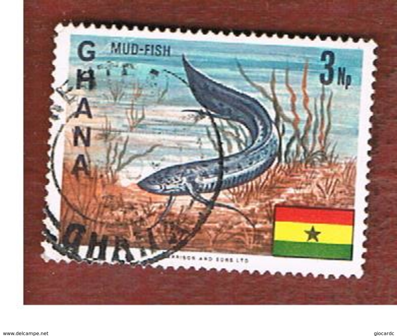 GHANA - SG 464  - 1967  FISHES: AFRICAN LUNGFISH   - USED ° - Ghana (1957-...)