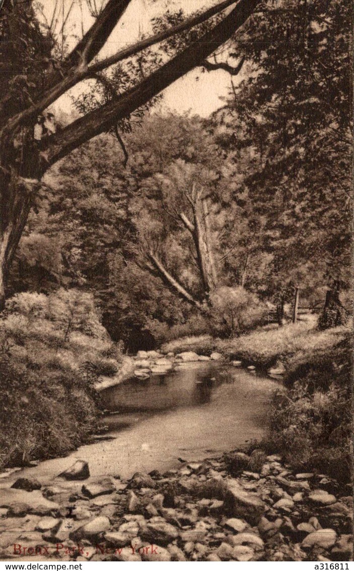 BRONX PARK  NEW YORK - Parken & Tuinen