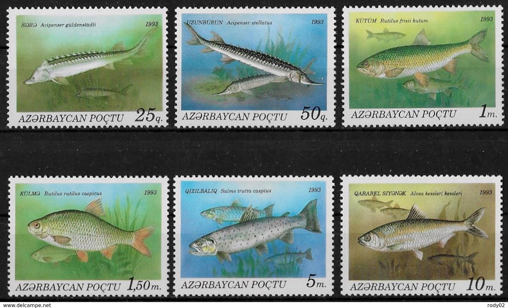 AZERBAIDJAN - POISSONS D'EAU DOUCE - N° 104 A 109 - NEUF** - Fishes