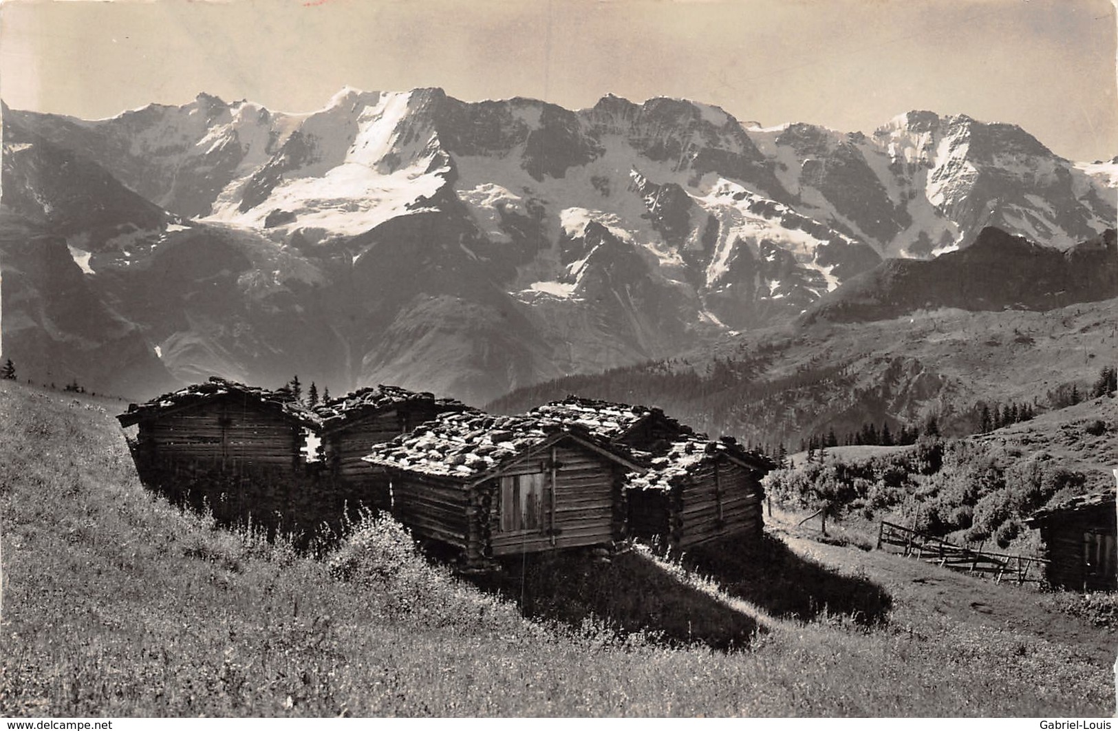 Sommerlandschaft Bei Mürren - Mürren