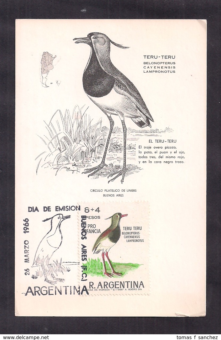 Argentina - 1966 - Carte Maximun - Oiseaux Argentins - Tero - Sonstige & Ohne Zuordnung