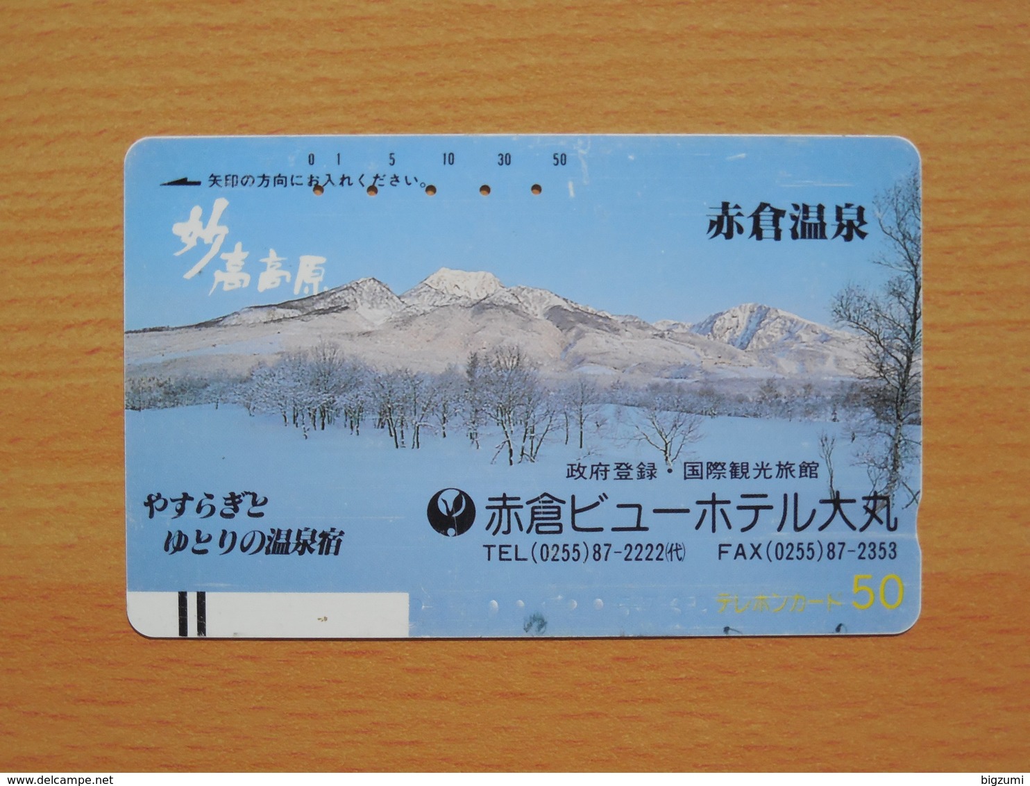 Japon Japan Free Front Bar, Balken Phonecard - 110-3220 / Winter, Hiver - Montagnes