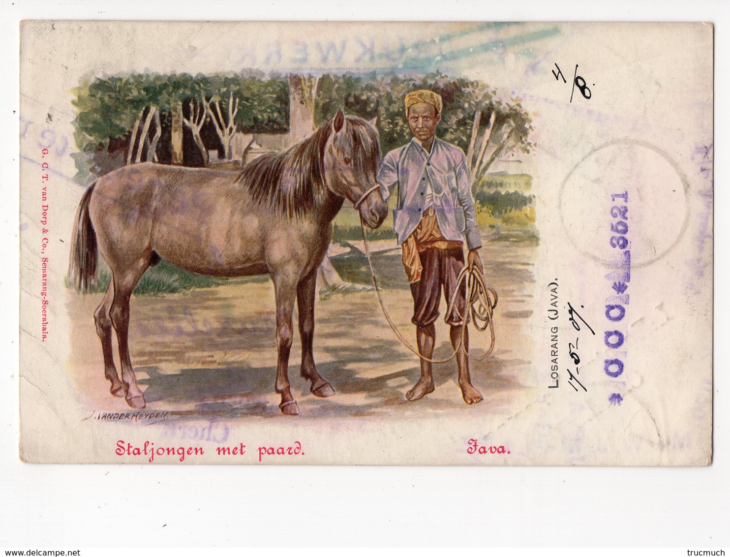 Ph3 - JAVA - LOSARANG - Staljongen Met Paard - Indonesië