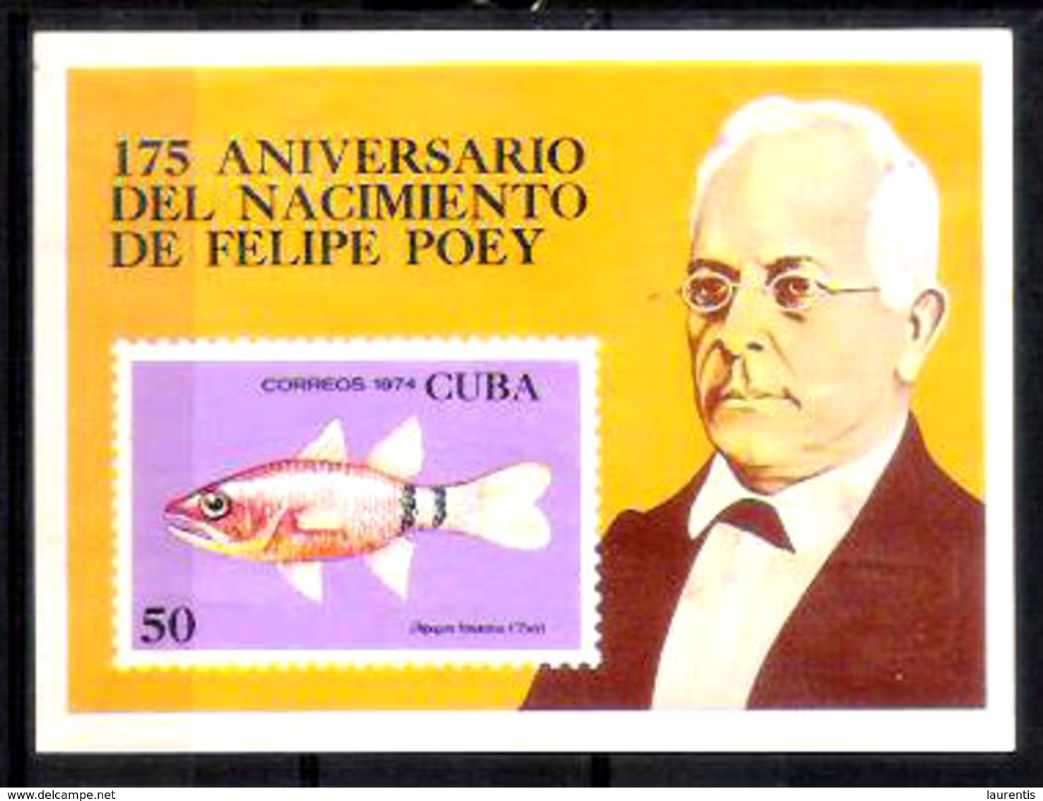 1301  Poissons - Fishes - 1974  - No Gum - Free Shipping - 1,50  A4 - Poissons