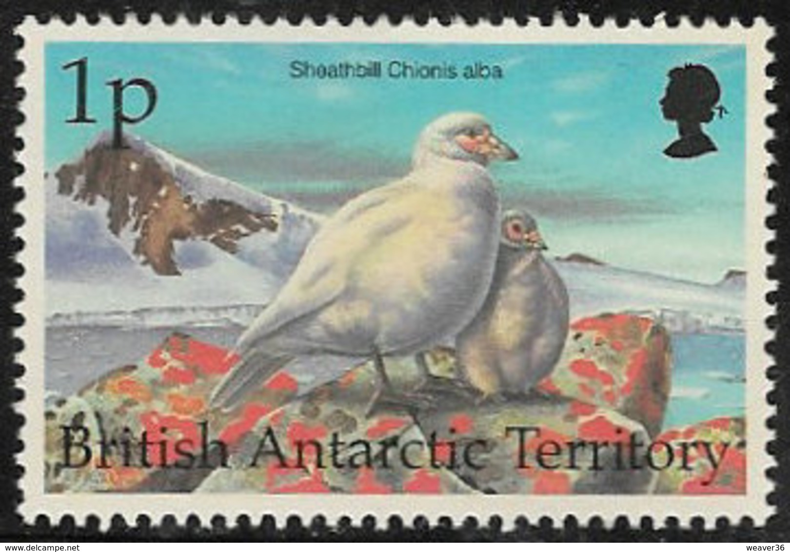 British Antarctic Territory SG290 1998 Birds 1p Unmounted Mint [6/7664/4D] - Unused Stamps