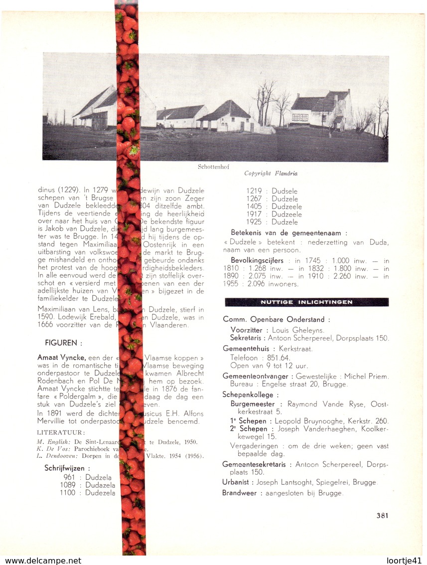 Gemeente Dudzele - Org. Knipsel Uit Magazine 1958 - Geschiedenis - Folklore - Nijverheid - Handel - Non Classés