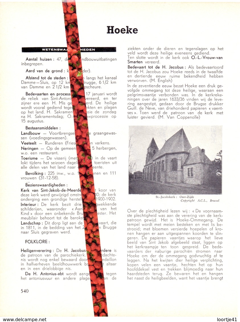 Gemeente Hoeke - Org. Knipsel Uit Magazine 1958 - Geschiedenis - Folklore - Nijverheid - Handel + Landkaart - Non Classés