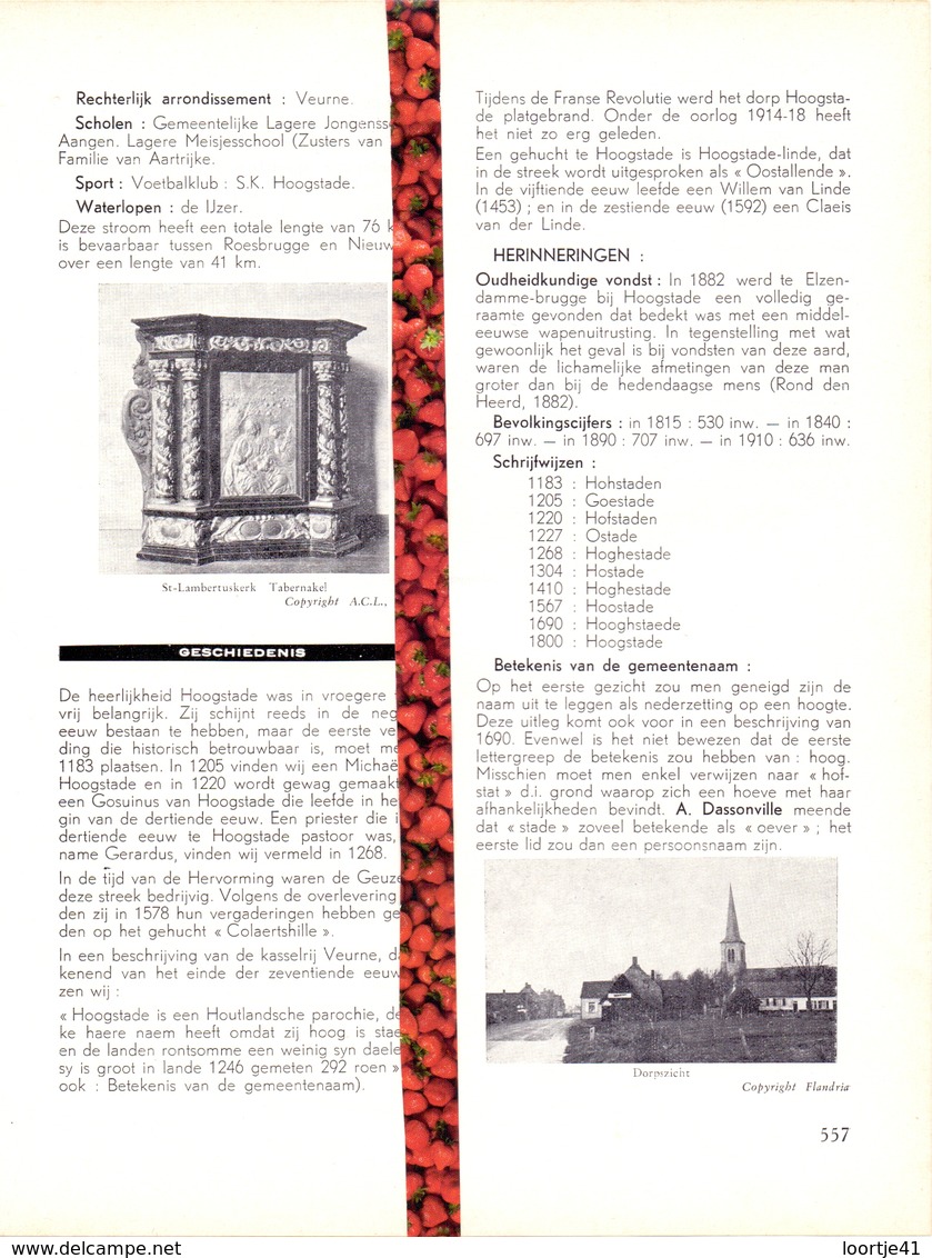 Gemeente Hoogstade - Org. Knipsel Uit Magazine 1958 - Geschiedenis - Folklore - Nijverheid - Handel + Landkaart - Non Classés