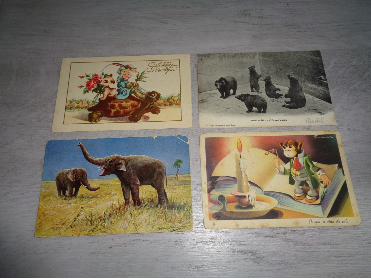 Beau Lot 60 Cartes Postales D' Animaux  Animal         Mooi Lot Van 60 Postkaarten Van Dieren  Dier  - 60 Scans - 5 - 99 Cartes