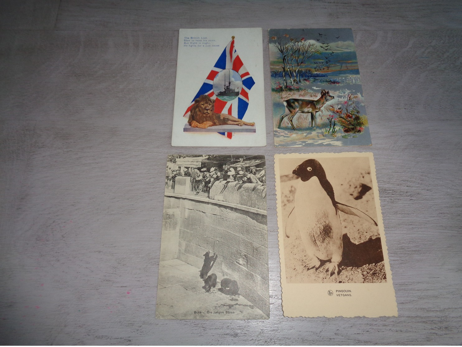 Beau lot 60 cartes postales d' animaux  animal         Mooi lot van 60 postkaarten van dieren  dier  - 60 scans