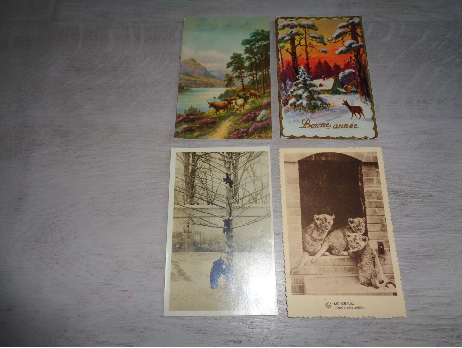 Beau lot 60 cartes postales d' animaux  animal         Mooi lot van 60 postkaarten van dieren  dier  - 60 scans