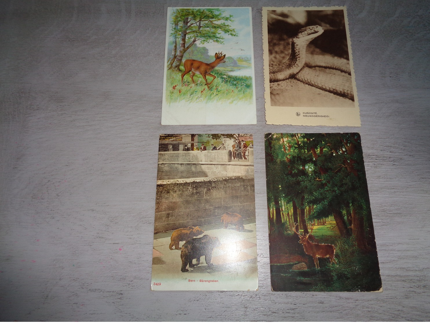 Beau lot 60 cartes postales d' animaux  animal         Mooi lot van 60 postkaarten van dieren  dier  - 60 scans