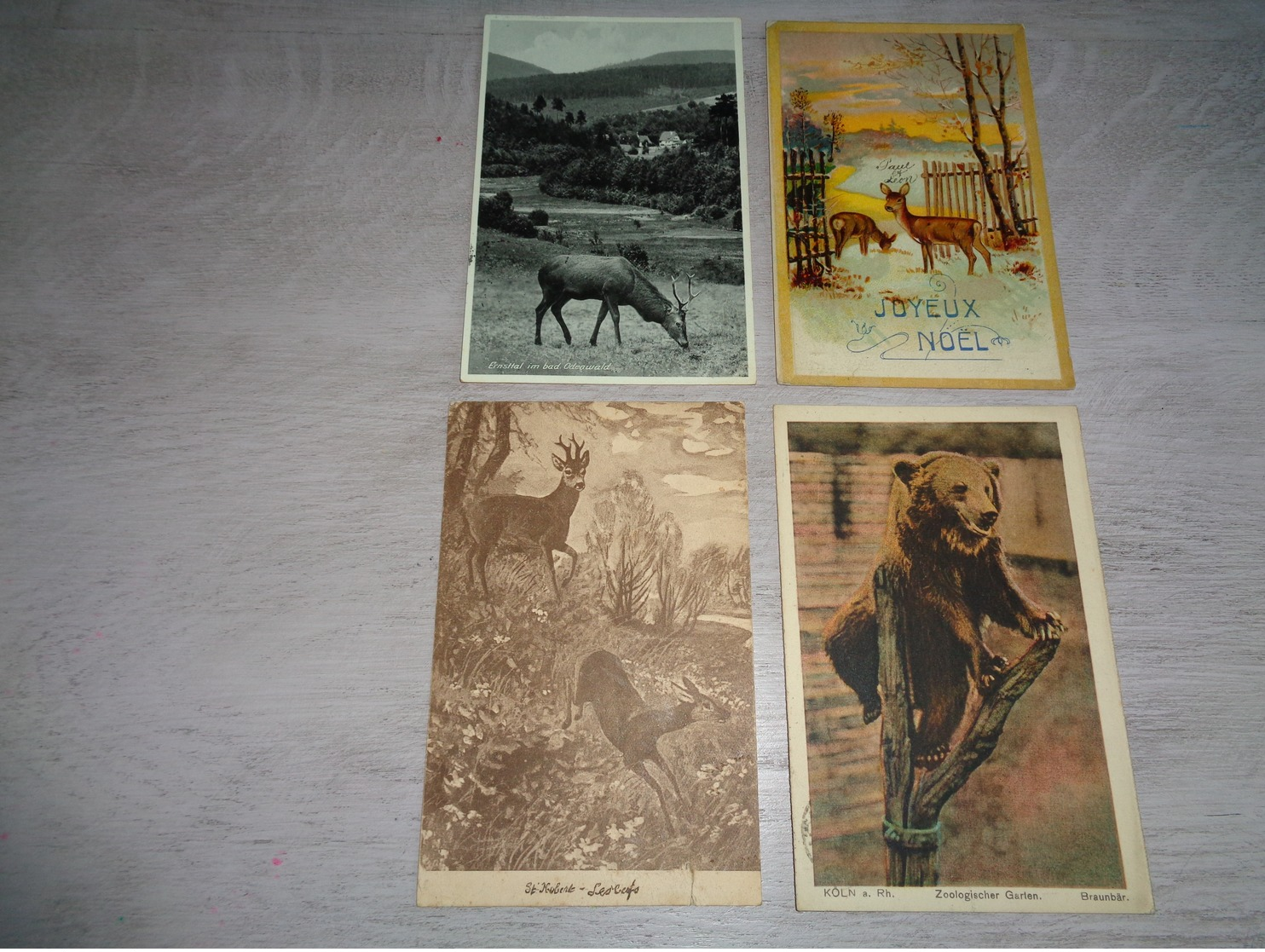 Beau lot 60 cartes postales d' animaux  animal         Mooi lot van 60 postkaarten van dieren  dier  - 60 scans