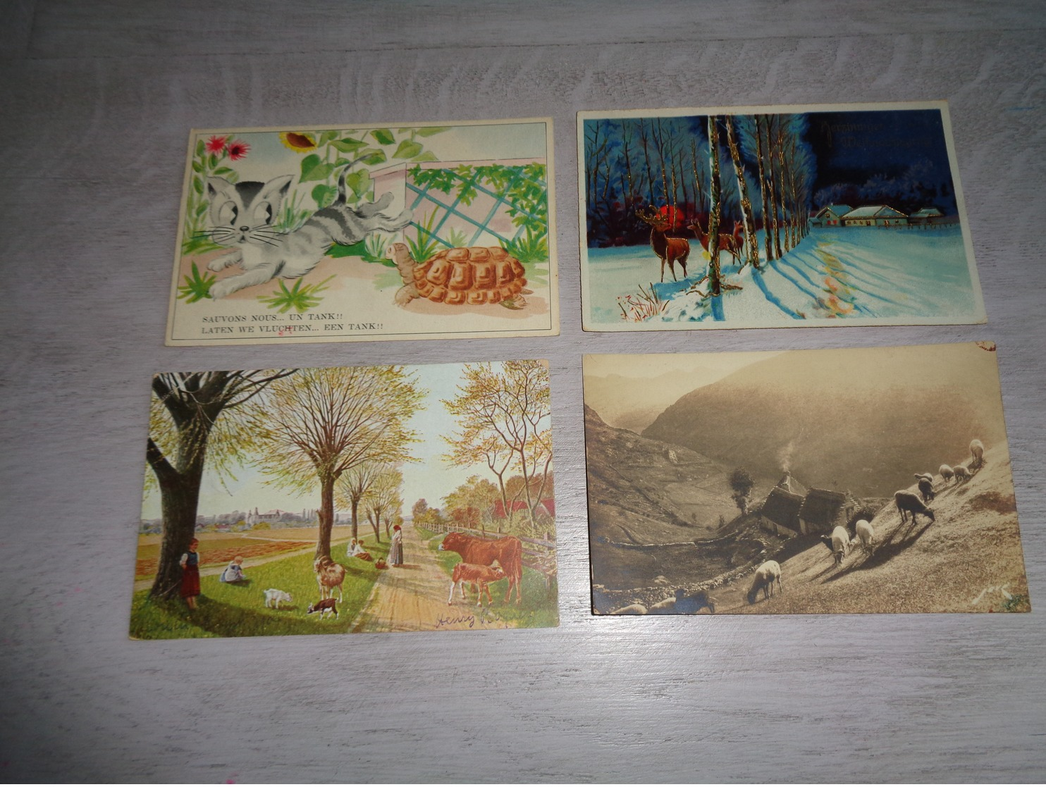 Beau lot 60 cartes postales d' animaux  animal         Mooi lot van 60 postkaarten van dieren  dier  - 60 scans