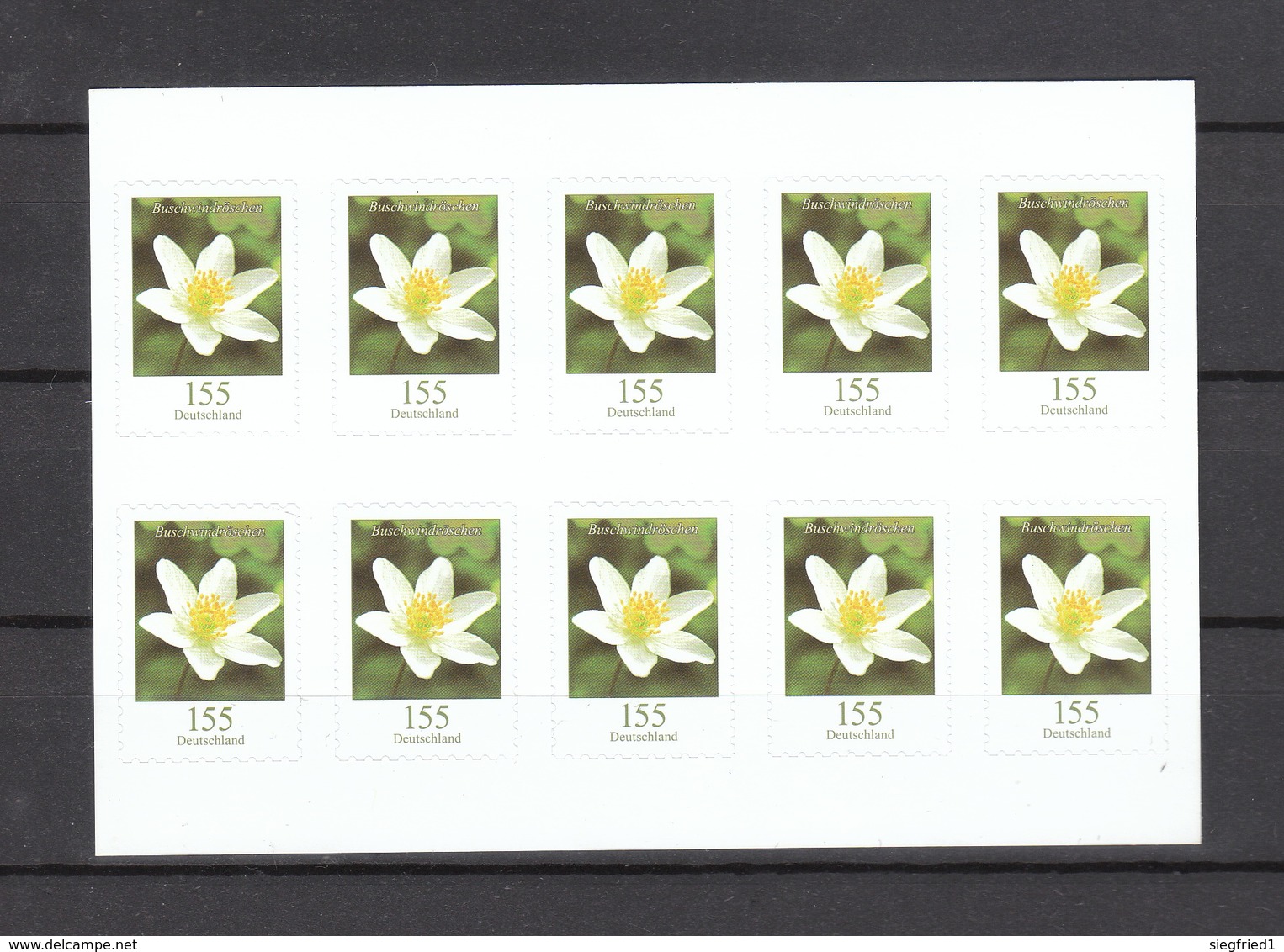 Deutschland BRD ** Markenset 3484 Buschwindröschen Skl Neuausgaben 1.8.2019 Postpreis  15,50 - Unused Stamps