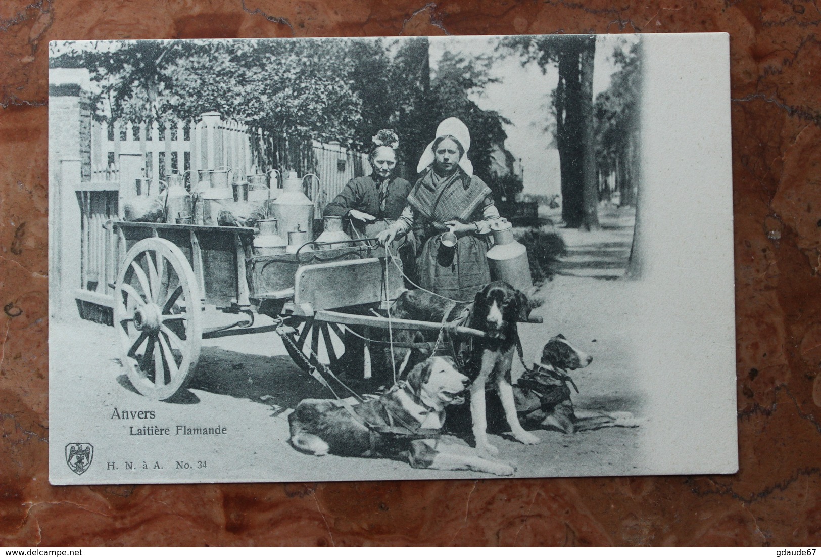 ANVERS - LAITIERE FLAMANDE - VOITURE A CHIEN - Antwerpen