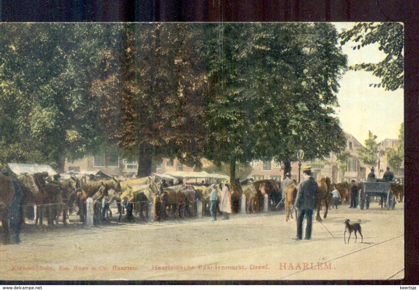 Haarlem - Paardenmarkt Dreef - 1907 - Kleinrond Stmpl Twisk - Haarlem