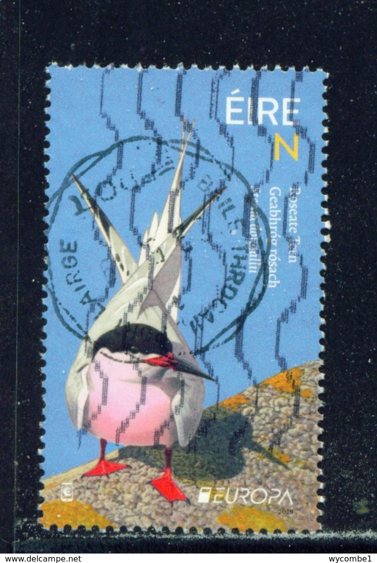 IRELAND  -  2019  Europa - Birds  'N'  Used As Scan - Usati