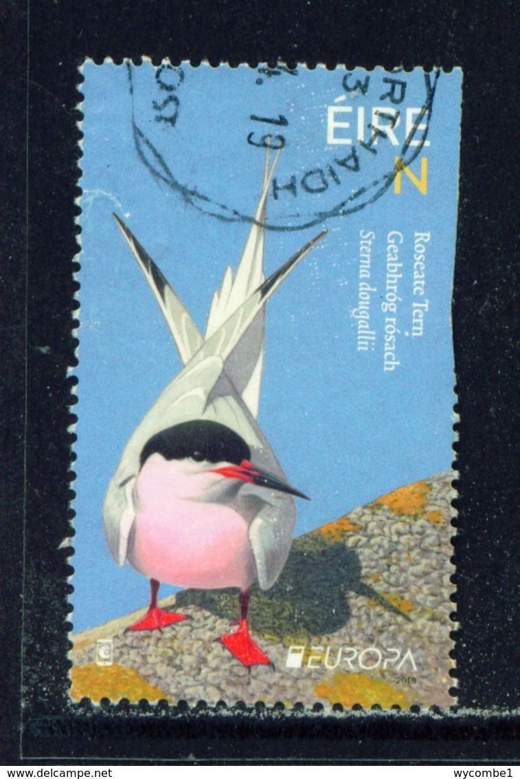 IRELAND  -  2019  Europa - Birds  'N'  Used As Scan - Gebraucht