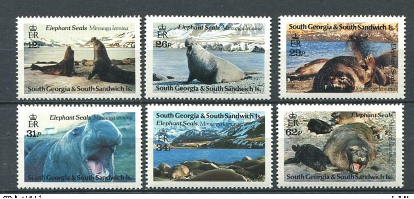 249 GEORGIE DU SUD 1991 - Yvert 208/13 - Elephant De Mer Polaire Antartique - Neuf ** (MNH) Sans Charniere - Géorgie Du Sud