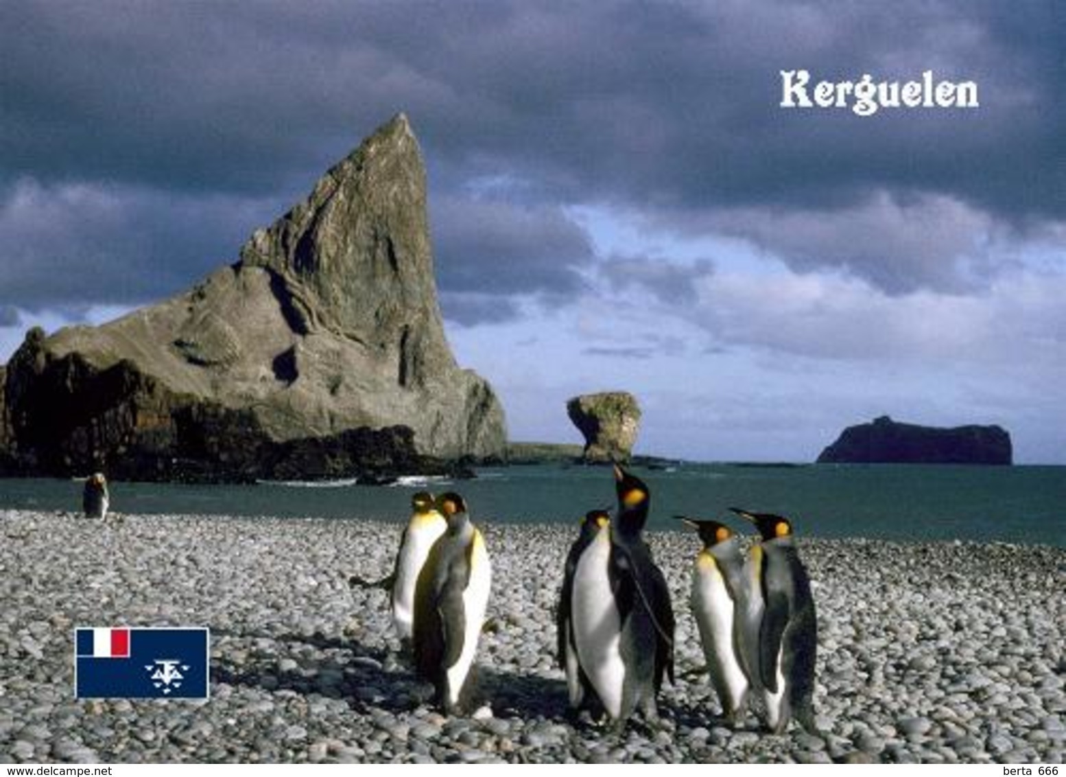 TAAF Kerguelen Islands Penguins Indian Ocean New Postcard Antarktis AK - TAAF : French Southern And Antarctic Lands