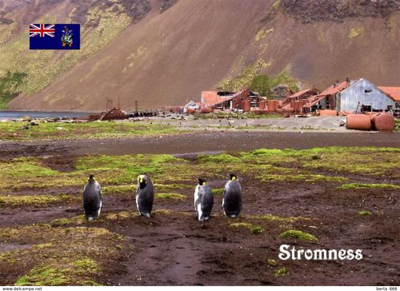 South Georgia Stromness New Postcard Südgeorgien AK - Sonstige & Ohne Zuordnung